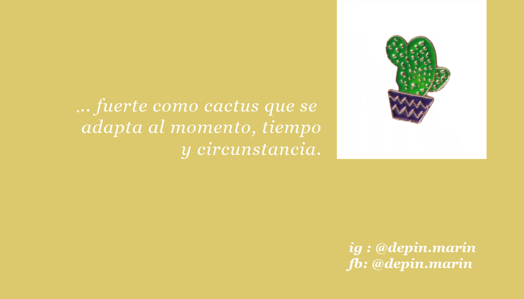 Pin Cactus en Macetita