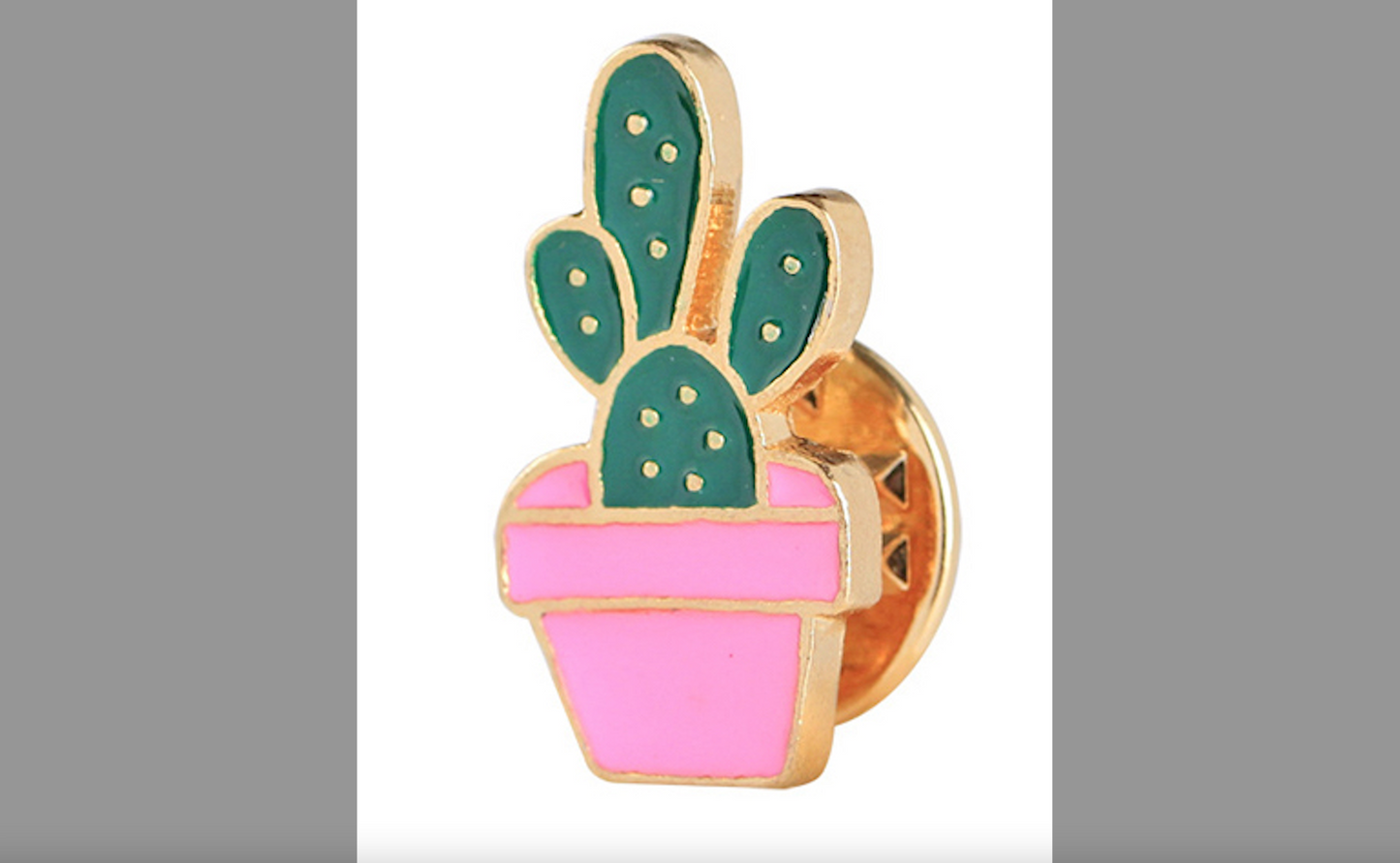 Pin Cactus en Maceta Rosa